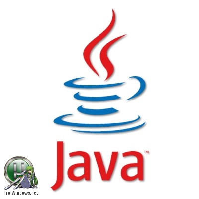 Исполнительная среда Java - Java SE Runtime Environment 10.0.2