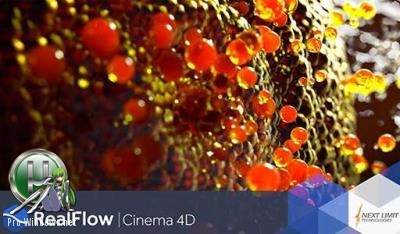 Плагин для Cinema 4D - NextLimit RealFlow 2.6.4.0092 for Cinema 4D