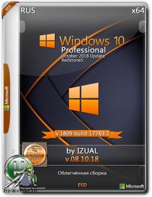 Windows_10_Professional 17763.1 Version 1809 (x64) _IZUAL_08_10_18 (esd)