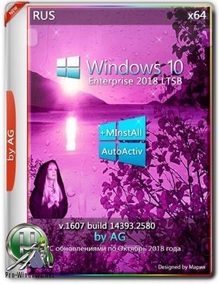 Windows 10 LTSB x64 WPI by AG 10.2018 [14393.2580 AutoActiv] (x64)