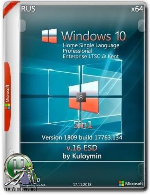 Windows 10 (v1809) x64 5in1 by kuloymin v16 (esd)
