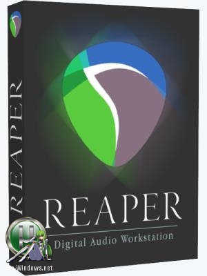 Инструмент для создания музыки - Cockos REAPER 6.36 (x86/x64) RePack (& Portable) by xetrin