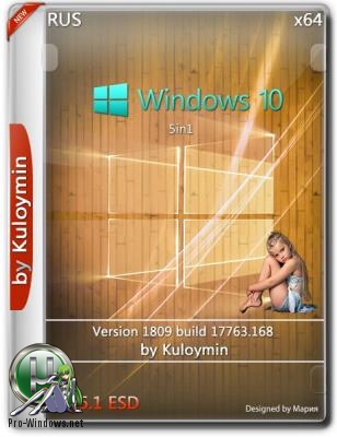 Windows 10 (v1809) 5in1 by kuloymin v16.1 (esd) (x64) (2018)