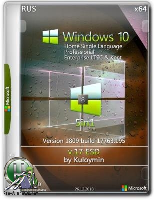 Windows 10 (v1809) x64 5in1 by kuloymin v17 (esd)