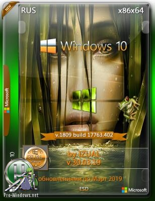 Windows 10 RS5 v.1809 With Update (17763.402) IZUAL (esd) Аnniversary