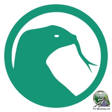 Быстрый интернет браузер - Basilisk 2019.10.31 + Portable